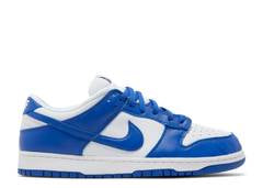 NIKE DUNK LOW SP 